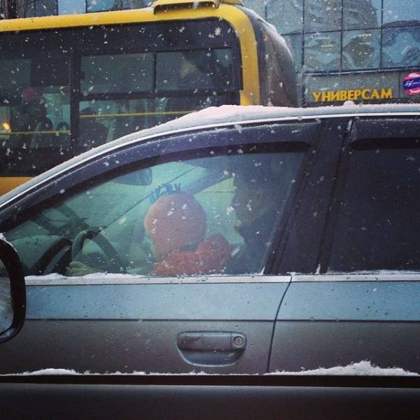 daily picdump 88 pics 12.html - 88 HD Photos | Premium Gallery 2017