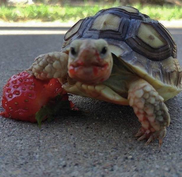 daily picdump 88 pics 12.html - 88 HD Photos | Premium Gallery 2017