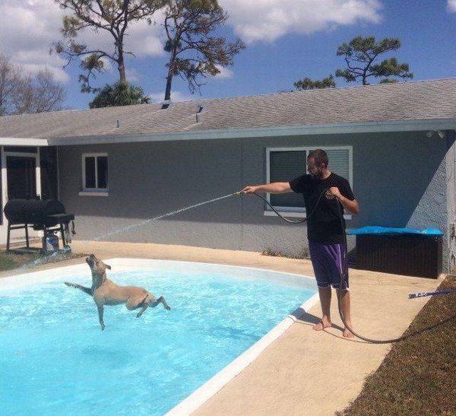 daily picdump 88 pics 12.html - 88 HD Photos | Premium Gallery 2017