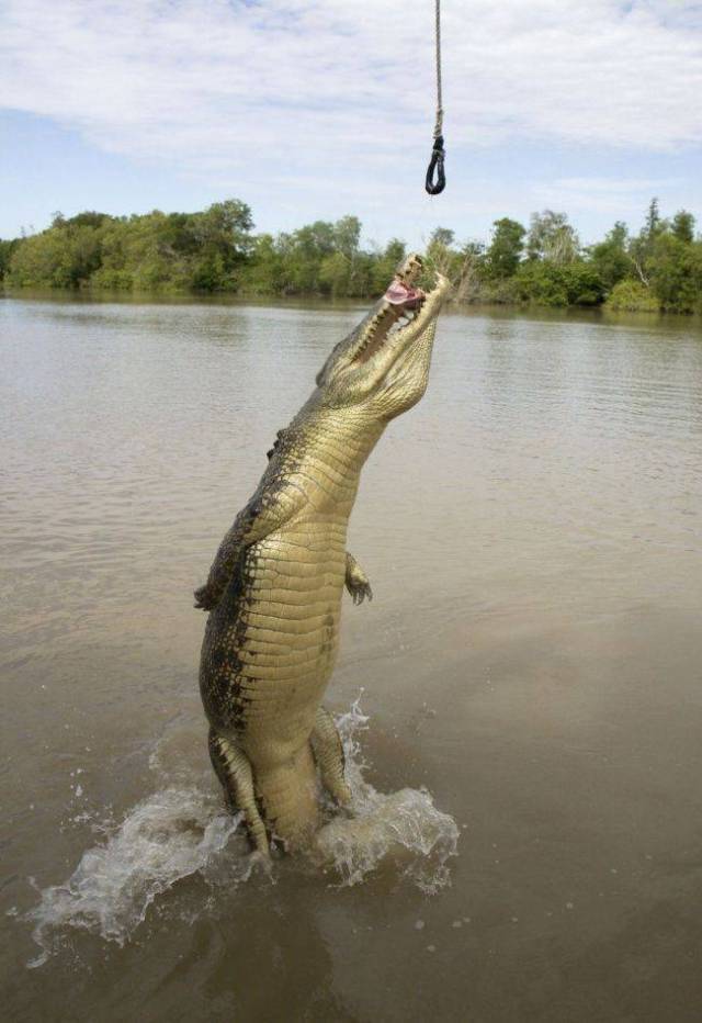 daily picdump 88 pics 12.html - 88 HD Photos | Premium Gallery 2017