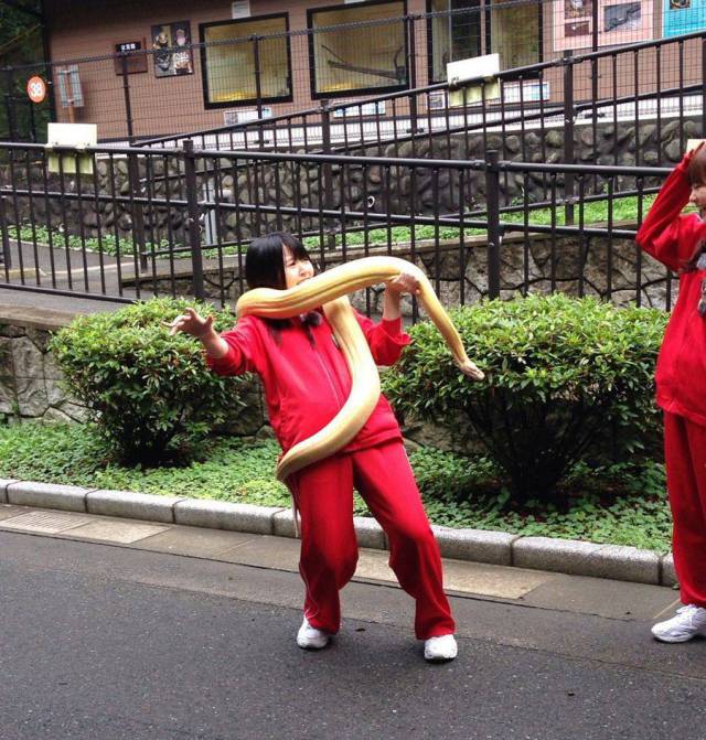 daily picdump 88 pics 12.html - 88 HD Photos | Premium Gallery 2017