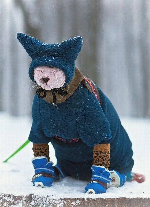 daily picdump 88 pics 12.html - 88 HD Photos | Premium Gallery 2017