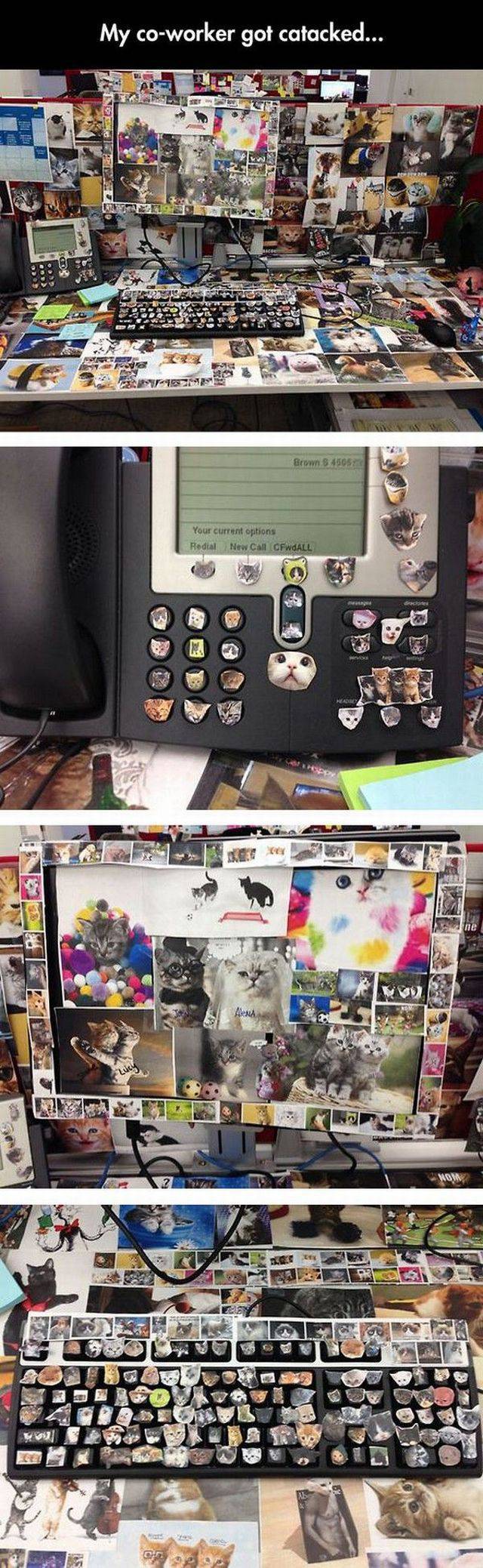 daily picdump 88 pics 12.html - 88 HD Photos | Premium Gallery 2017