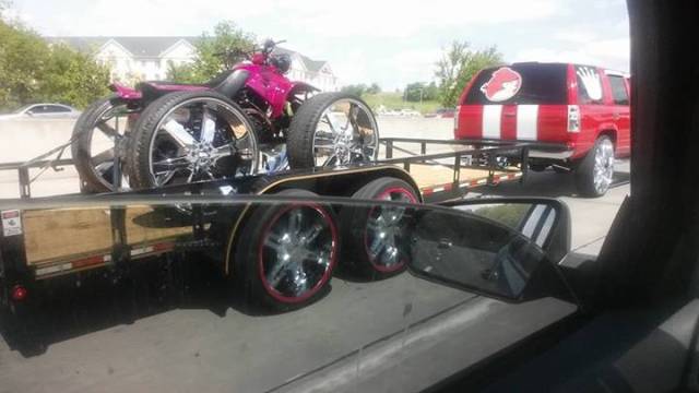 morning picdump 50 pics 7.html - 50 HD Photos | Premium Gallery 2017