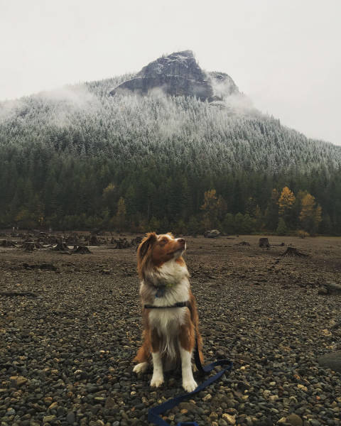 morning picdump 50 pics 7.html - 50 HD Photos | Premium Gallery 2017