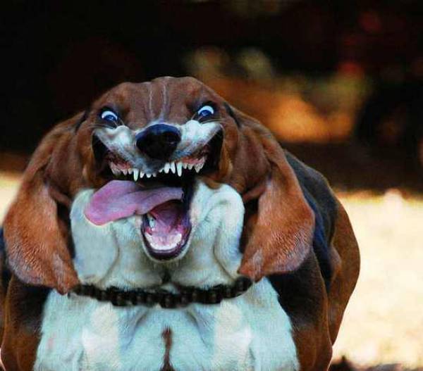 morning picdump 50 pics 7.html - 50 HD Photos | Premium Gallery 2017