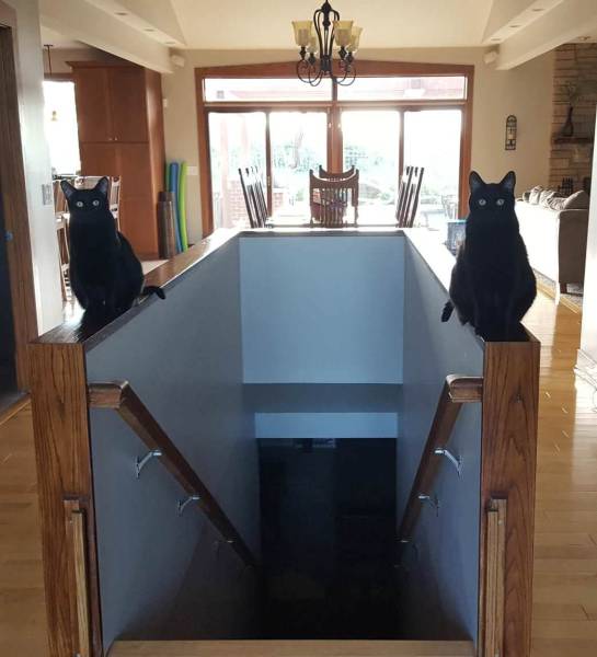 daily picdump weekend edition 50 pics 9.html - 50 HD Photos | Premium Gallery 2017