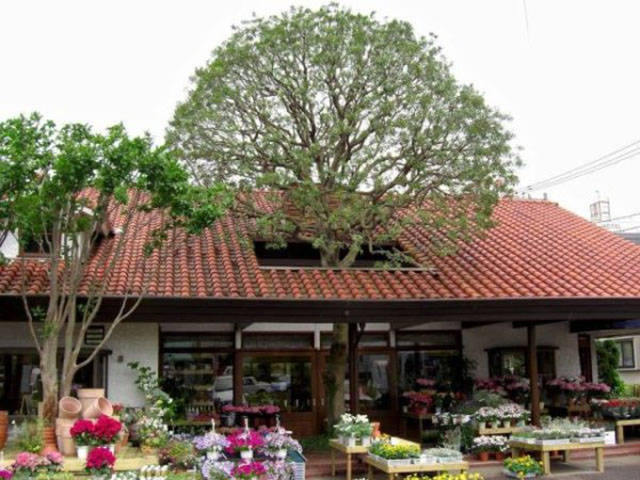 daily picdump weekend edition 50 pics 9.html - 50 HD Photos | Premium Gallery 2017