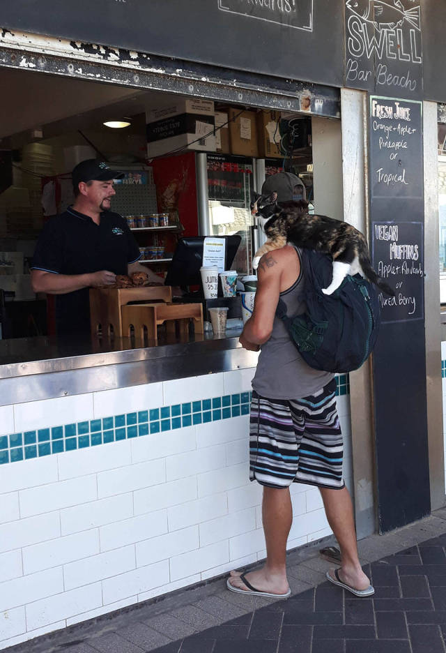 daily picdump weekend edition 50 pics 9.html - 50 HD Photos | Premium Gallery 2017