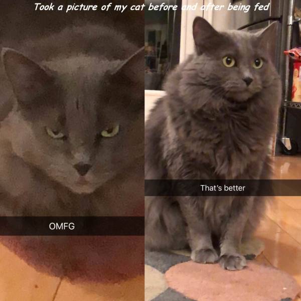 daily picdump 102 pics 45.html - 102 HD Photos | Premium Gallery 2017