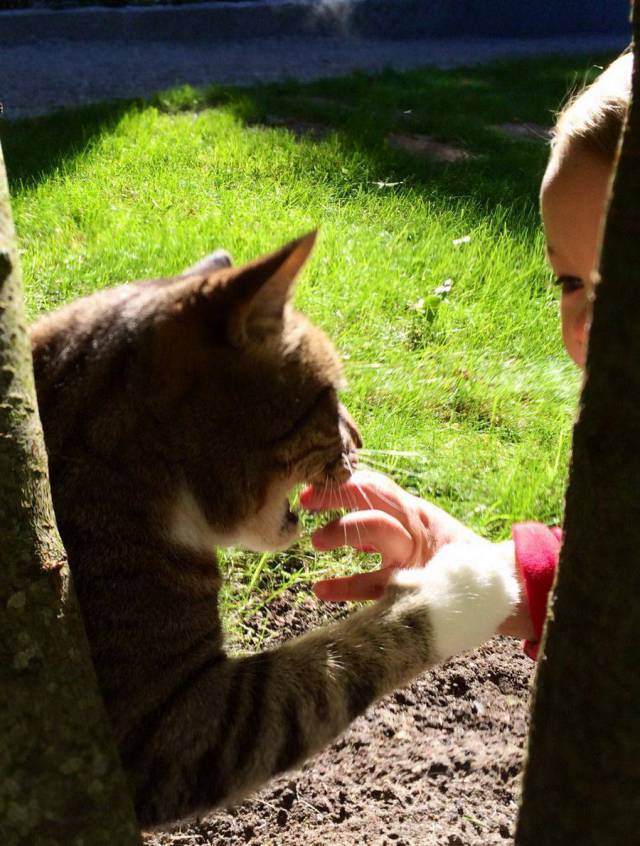 daily picdump 102 pics 45.html - 102 HD Photos | Premium Gallery 2017