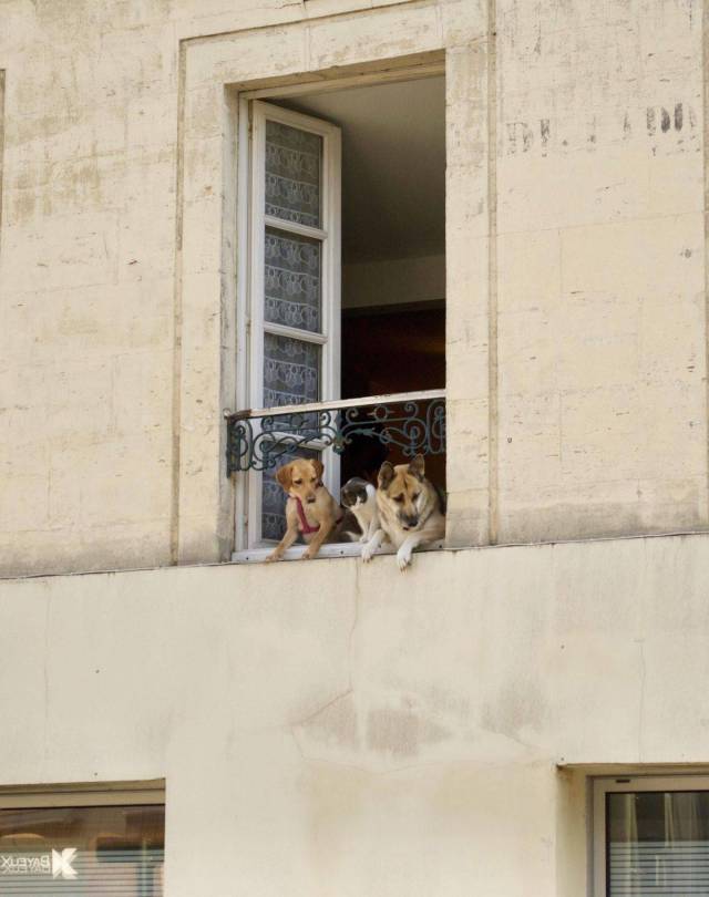 daily picdump 102 pics 45.html - 102 HD Photos | Premium Gallery 2017