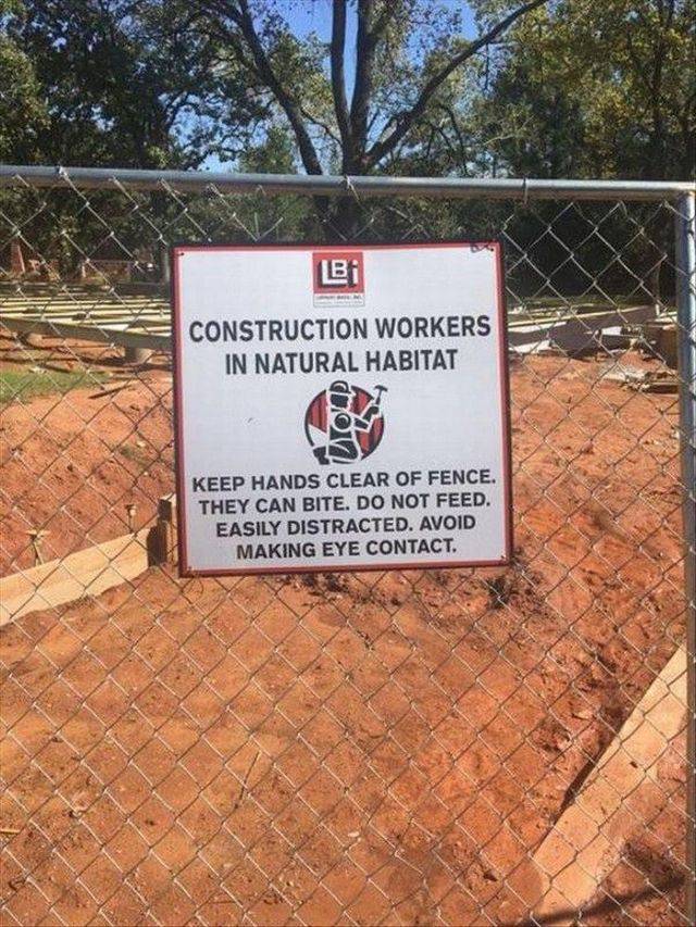 daily picdump 102 pics 45.html - 102 HD Photos | Premium Gallery 2017