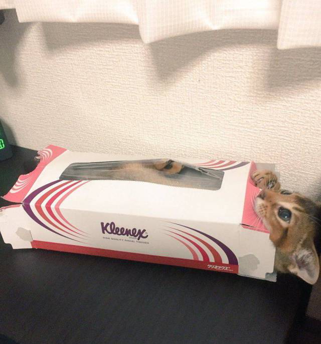 daily picdump 102 pics 45.html - 102 HD Photos | Premium Gallery 2017