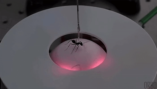 Science Has Invented Some Pretty Bizarre Machinery