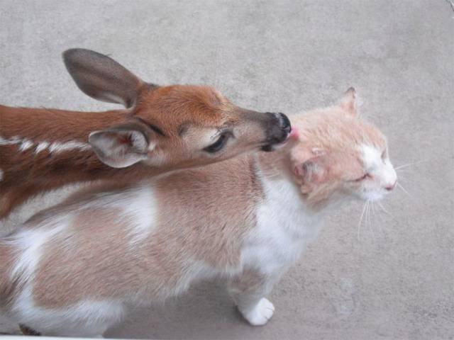 daily picdump 106 pics 33.html - 106 HD Photos | Premium Gallery 2017