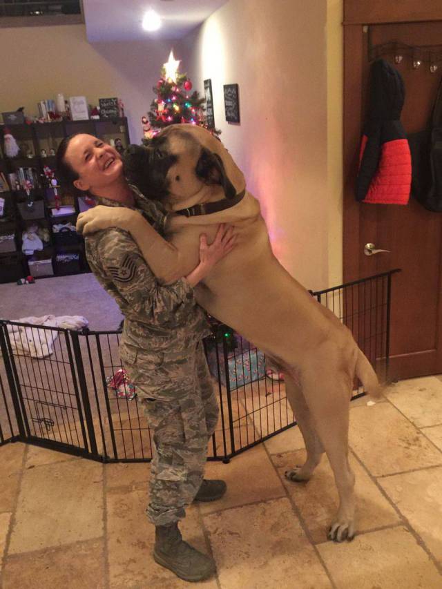 daily picdump 106 pics 33.html - 106 HD Photos | Premium Gallery 2017