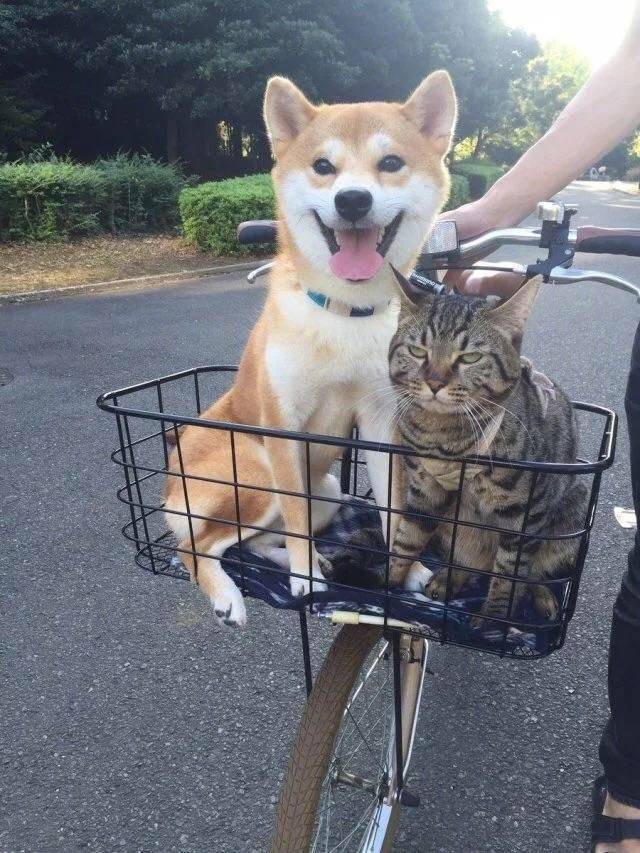 daily picdump 106 pics 33.html - 106 HD Photos | Premium Gallery 2017