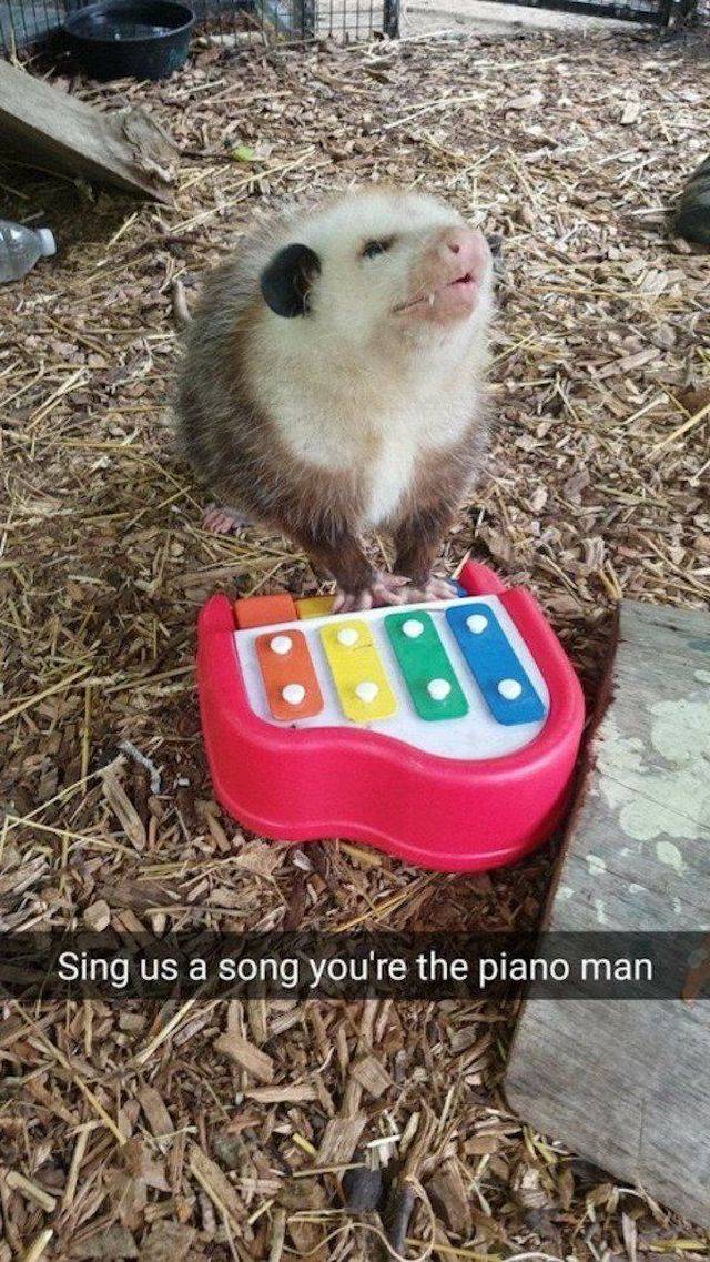 daily picdump 106 pics 33.html - 106 HD Photos | Premium Gallery 2017