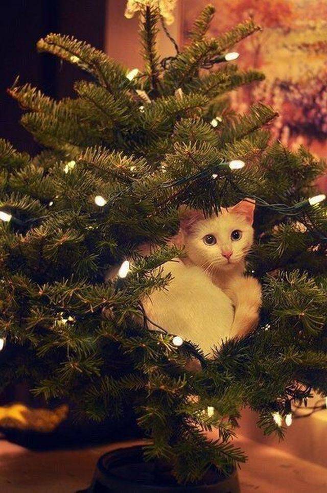 daily picdump 106 pics 33.html - 106 HD Photos | Premium Gallery 2017