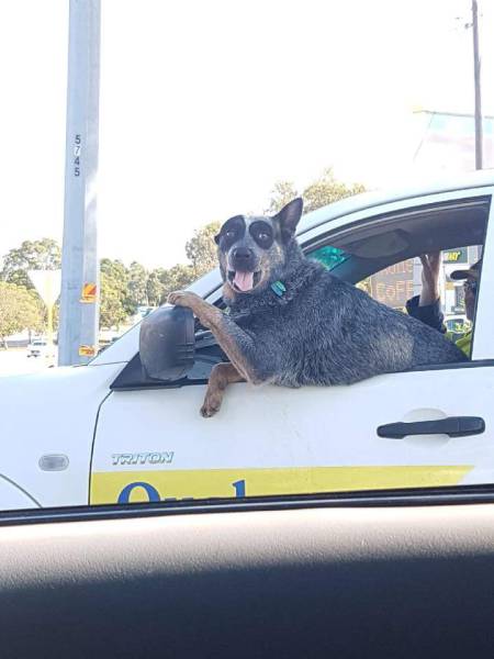 morning picdump 52 pics 1.html - 52 HD Photos | Premium Gallery 2017