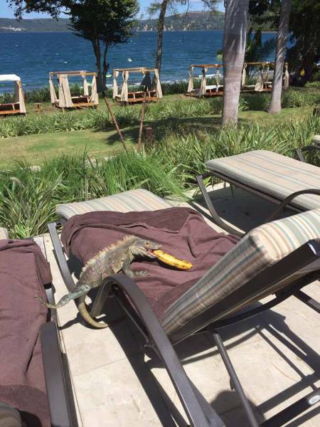 morning picdump 52 pics 1.html - 52 HD Photos | Premium Gallery 2017