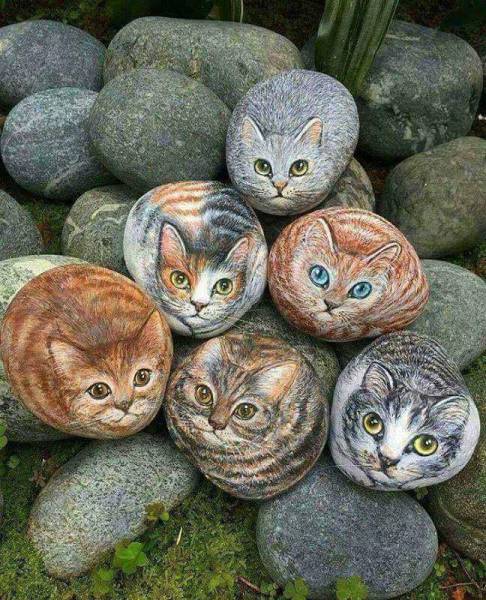 morning picdump 52 pics 1.html - 52 HD Photos | Premium Gallery 2017