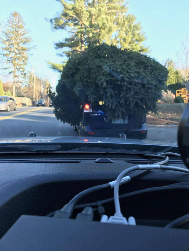 morning picdump 52 pics 1.html - 52 HD Photos | Premium Gallery 2017