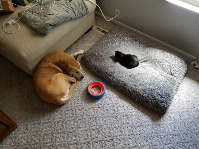 daily picdump 104 pics 7.html - 104 HD Photos | Premium Gallery 2017