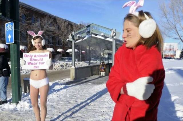 daily picdump 104 pics 7.html - 104 HD Photos | Premium Gallery 2017