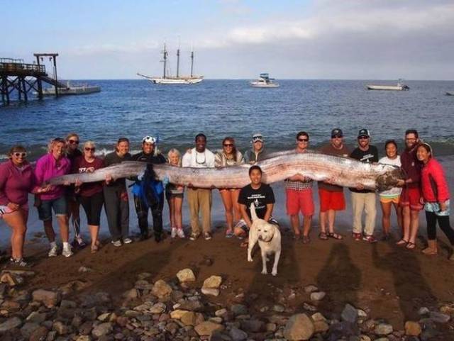 daily picdump 104 pics 7.html - 104 HD Photos | Premium Gallery 2017