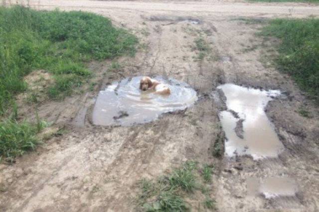 daily picdump 104 pics 7.html - 104 HD Photos | Premium Gallery 2017