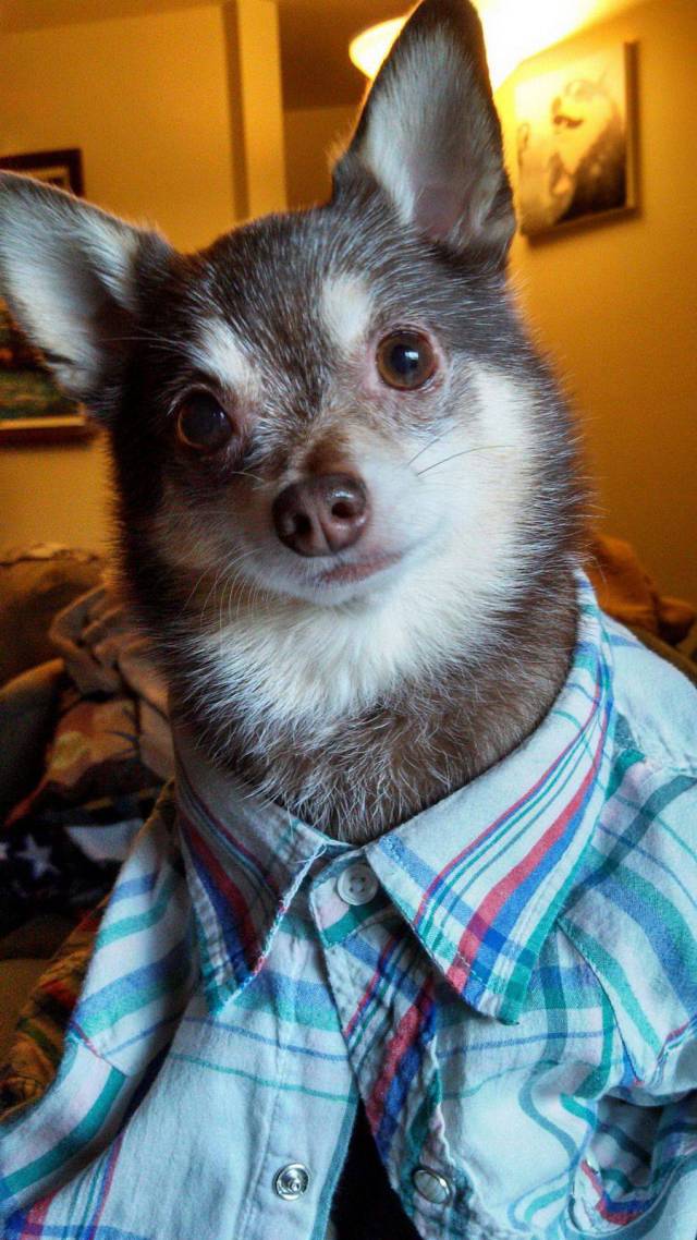 daily picdump 104 pics 7.html - 104 HD Photos | Premium Gallery 2017