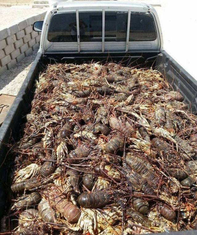 daily picdump 104 pics 7.html - 104 HD Photos | Premium Gallery 2017