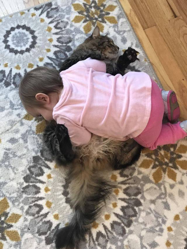 daily picdump 104 pics 7.html - 104 HD Photos | Premium Gallery 2017