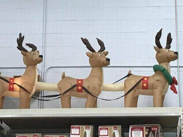 Dirty Mind, Come Here!