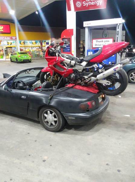 morning picdump 50 pics 5.html - 50 HD Photos | Premium Gallery 2017