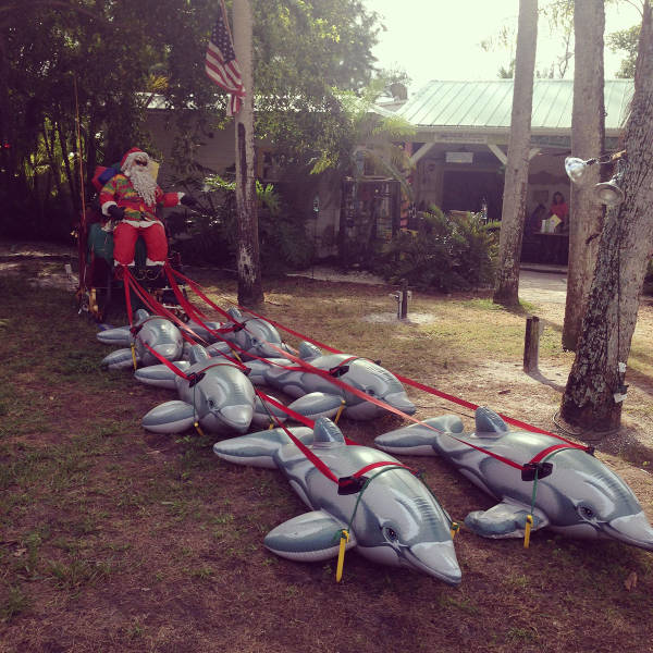 morning picdump 50 pics 5.html - 50 HD Photos | Premium Gallery 2017