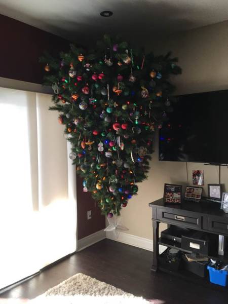 morning picdump 50 pics 5.html - 50 HD Photos | Premium Gallery 2017