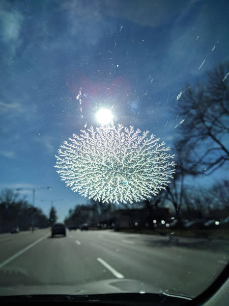 morning picdump 50 pics 5.html - 50 HD Photos | Premium Gallery 2017