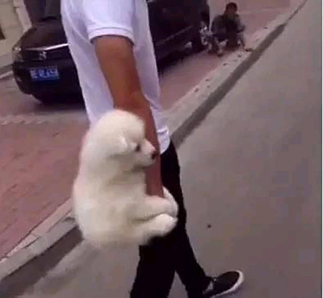 morning picdump 50 pics 5.html - 50 HD Photos | Premium Gallery 2017