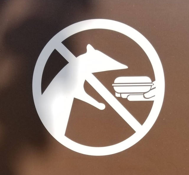 morning picdump 50 pics 5.html - 50 HD Photos | Premium Gallery 2017