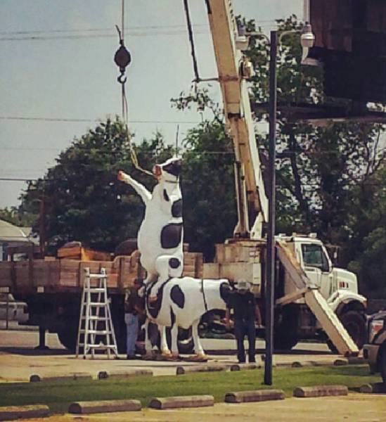 morning picdump 50 pics 5.html - 50 HD Photos | Premium Gallery 2017