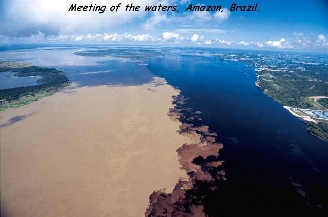 daily picdump 97 pics 41.html - 97 HD Photos | Premium Gallery 2017