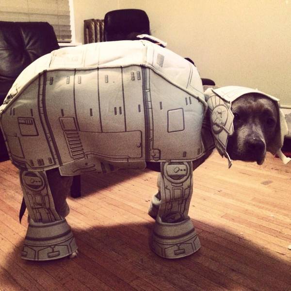 daily picdump 97 pics 41.html - 97 HD Photos | Premium Gallery 2017