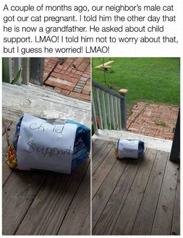 daily picdump 97 pics 41.html - 97 HD Photos | Premium Gallery 2017