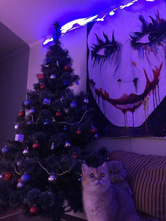 daily picdump 97 pics 41.html - 97 HD Photos | Premium Gallery 2017