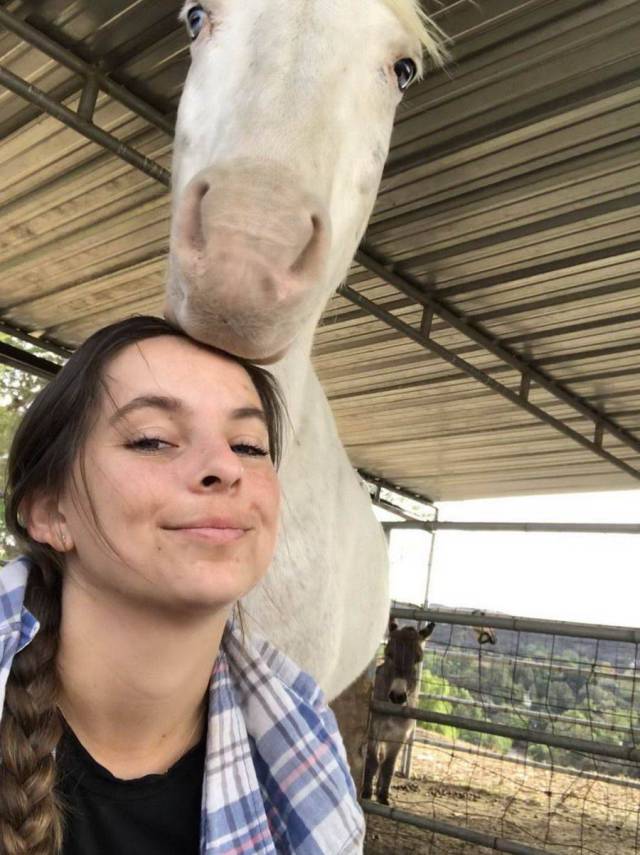 daily picdump 97 pics 41.html - 97 HD Photos | Premium Gallery 2017