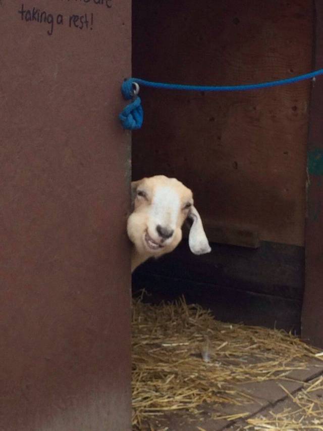 daily picdump 97 pics 41.html - 97 HD Photos | Premium Gallery 2017