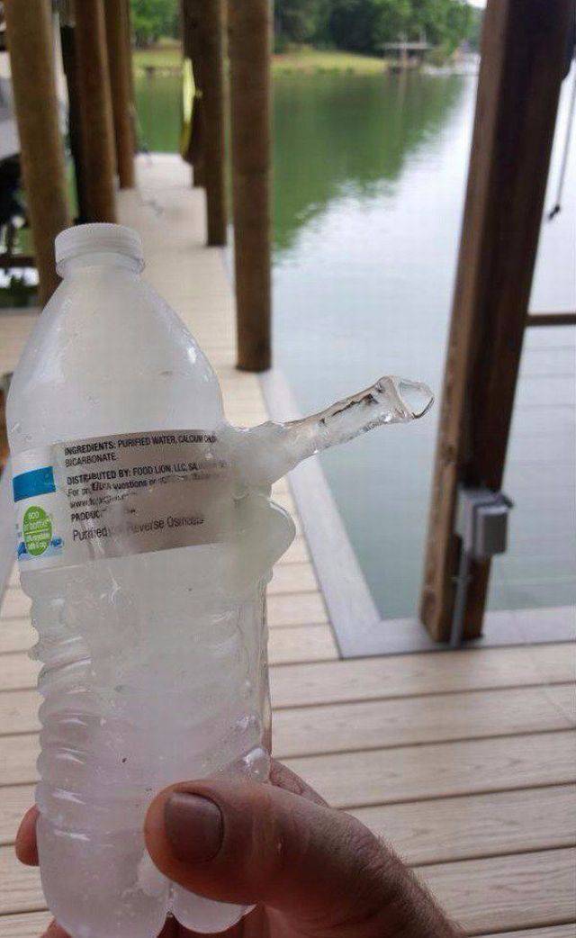 daily picdump 97 pics 41.html - 97 HD Photos | Premium Gallery 2017